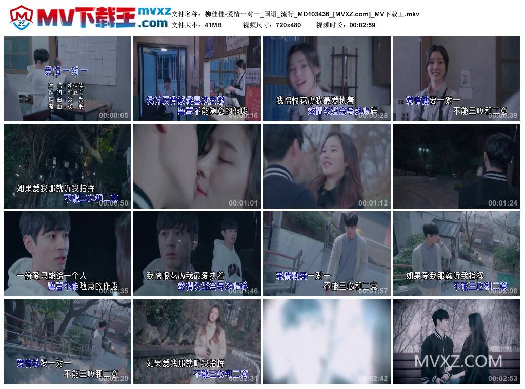 柳佳佳-爱情一对一_国语_流行_MD103436